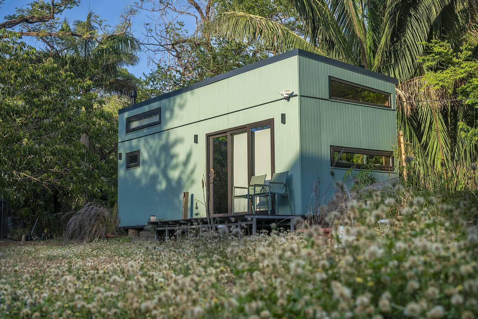 Atenea exterior in a flowering meadow